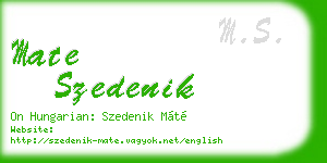 mate szedenik business card